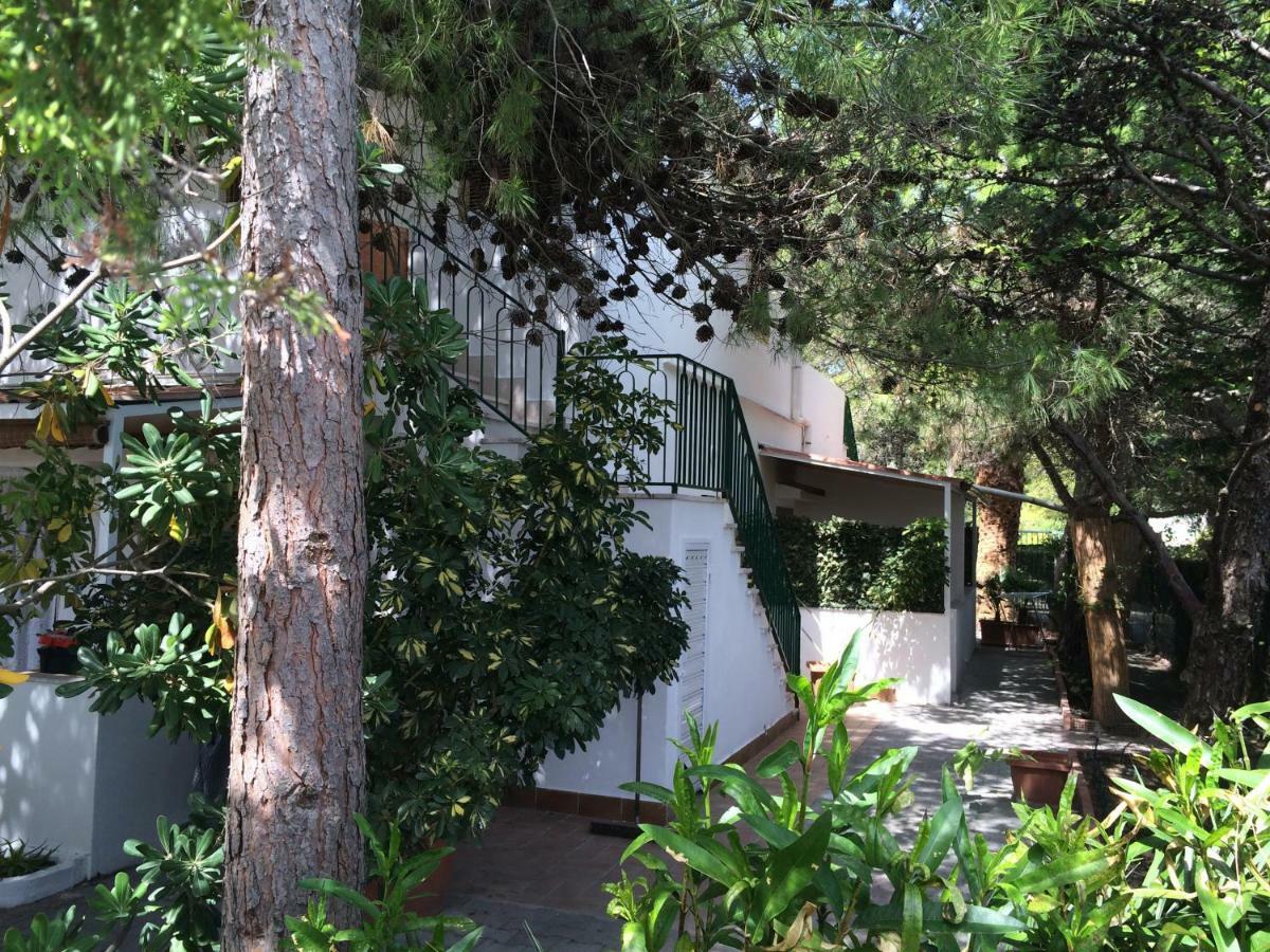 Villa Irene Вьесте Экстерьер фото